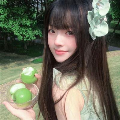 领航人